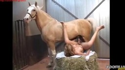 Porn horse конь с громадным фаллосом разорвал анал трансу