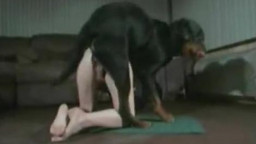 Классный dog sex кобель кончил в хозяйку зоо видео порно